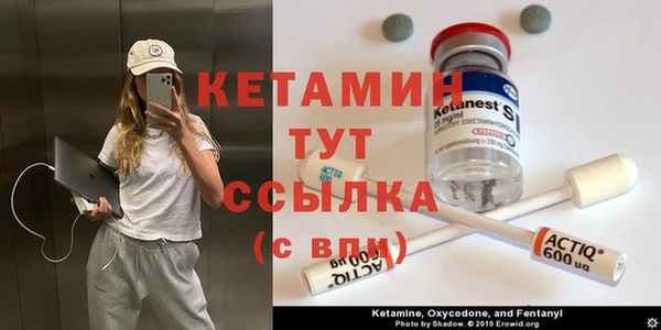 apvp Вязьма